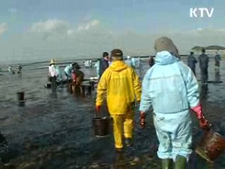 태안 어장정화 20억원 추경 투입