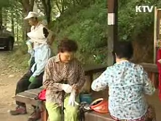 본격적인 단풍철, 안전사고 '주의'