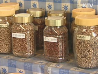 해외 종자채취 국내 전환 업체 지원