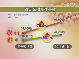 설 대비 과일 공급 2배 이상 확대