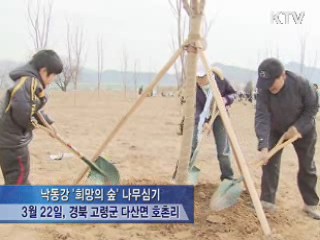 낙동강 '희망의 숲' 조성