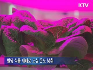 전국 도심텃밭·주말농장 등 8천곳 조성