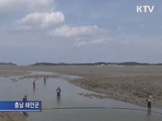 제철 만난 망둥어 낚시