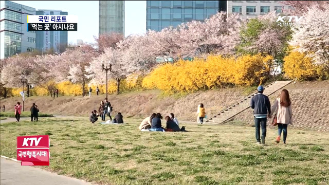 꽃의 맛과 향기를 입으로 느끼세요