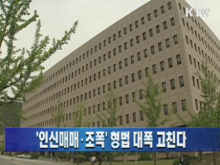 '인신매매·조폭' 형법 대폭 고친다