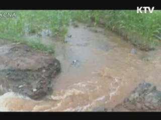 50억 상당 '수해 구호품' 북한에 보낸다