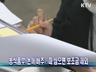 농식품부, 논에 배추·파 심으면 보조금 제외