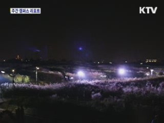 하늘공원 '억새꽃' 만발