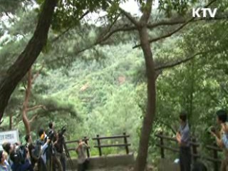 수리부엉이·황조롱이 '자연 품으로'