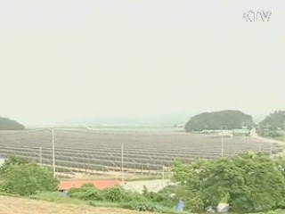 아프리카 등 '녹색 대외원조' 본격화