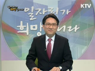 2011 업종별 취업전략 시리즈 Ⅳ- 유통업종