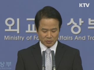 위안부 문제 국제무대 이슈화 검토