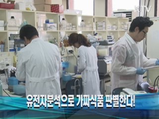 유전자분석으로 가짜식품 판별한다!