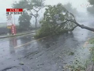 사라·매미···역대 강력했던 '태풍들'