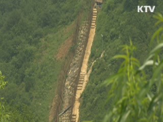 DMZ 60년 재조명…두루미 '깃대종' 선정