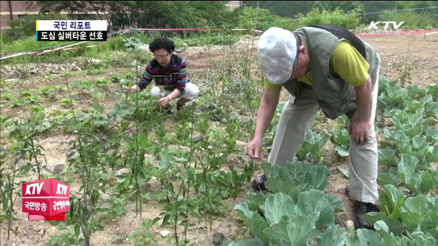 고령화 사회…도심 실버타운 늘어난다