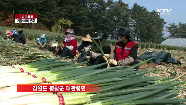 산촌마을 주민, 겨울 채비 한창 [국민리포트]