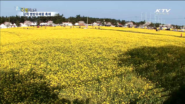 유채꽃 만발…희망가득 느껴요