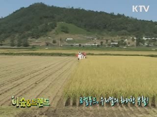 로컬 푸드, 우리밀의 화려한 부활! [이슈&트랜드]