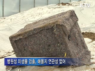 "구제역 매몰지 지하수, 침출수 영향 없어"