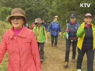 이야기가 있는 '쉐질'