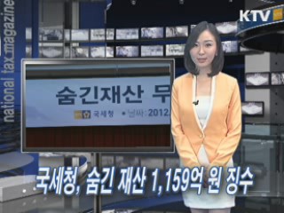 국세청, 숨긴 재산 1,159억 원 징수