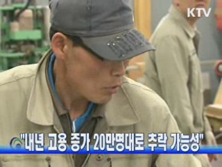 "내년 고용 증가 20만명대로 추락 가능성"