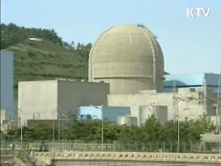 수출용 중소형원자로, 2011년 조기 개발