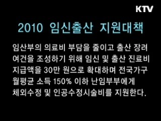 2010 임신출산 지원대책