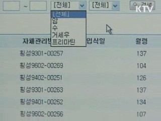 12월부터 수입 쇠고기 유통이력제 시행