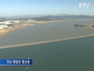 하늘에서 본 4대강 '깨어나는 영산강'