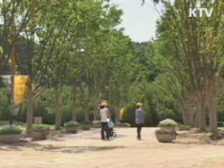 울산 태화강 '대숲 생태공원' 조성