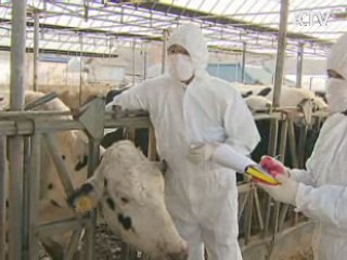 민관군 1만7천 명 투입···백신접종 총력