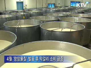 6월 막걸리 수출 사상최대···내수도 '쑥쑥'