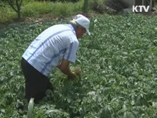 생애 첫 내 집 마련 기간, 평균 8.48년