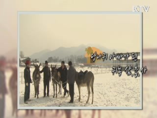 당나귀 키우는 세 청년의 농촌일기 - 김재훈, 김한종, 송우 (양평, 귀농인)