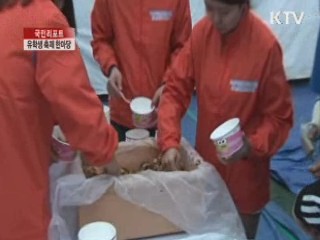 외국인유학생 모여 축제 한마당 [국민리포트]