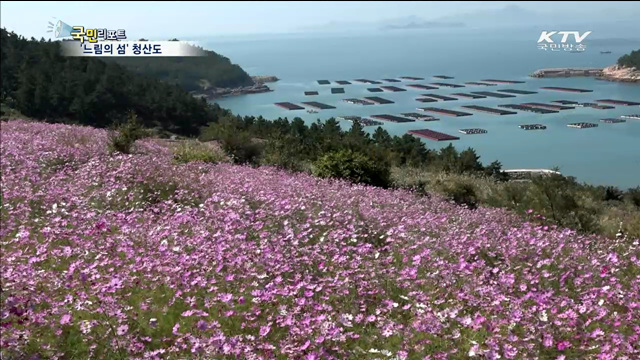 청산도 느림의 길…가을빛으로 물들다