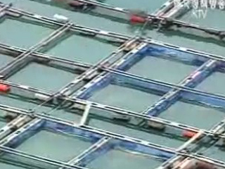 양식어업 구조재편 방안 마련