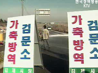 김제 AI 가축 36만여 마리 매몰처분