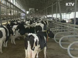 국가재난형 가축질병 방역 기술개발