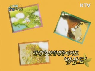 현대판 산림대동여지도 '임상도'