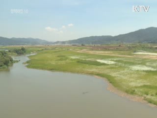 "PD수첩 '비밀팀' 허위사실 유포 확인"