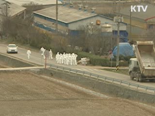 설 전까지 예방접종 완료 