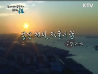 금강 천리, 진출의 꿈 - 금강(군산시)