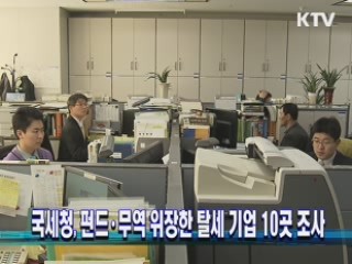 국세청, 펀드·무역 위장한 탈세 기업 10곳 조사