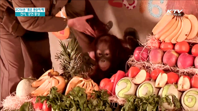 붉은 '원숭이 해'…전시·공연 풍성