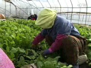 7월 농업용 면세유 공급대상 확대