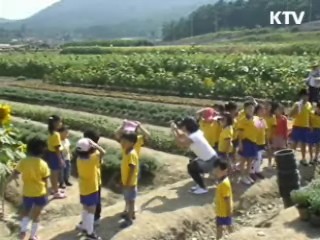 경남도, 도농간 유치원 현장학습 교류