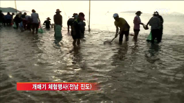 '가을 관광주간'…"할인받고 어촌 여행 떠나요"